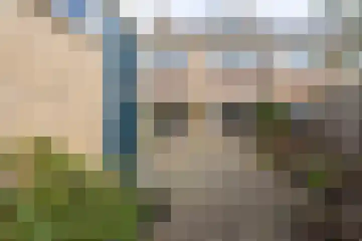 Black Alicante 29 Huissen thumbnail 28