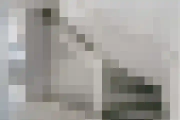 Black Alicante 29 Huissen thumbnail 28