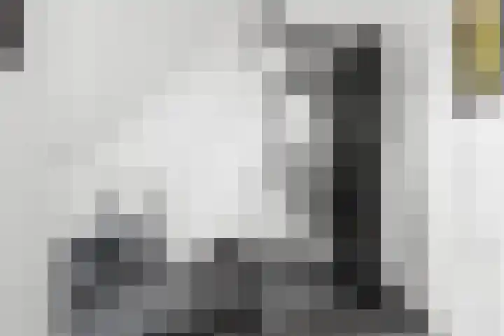 Black Alicante 29 Huissen thumbnail 32