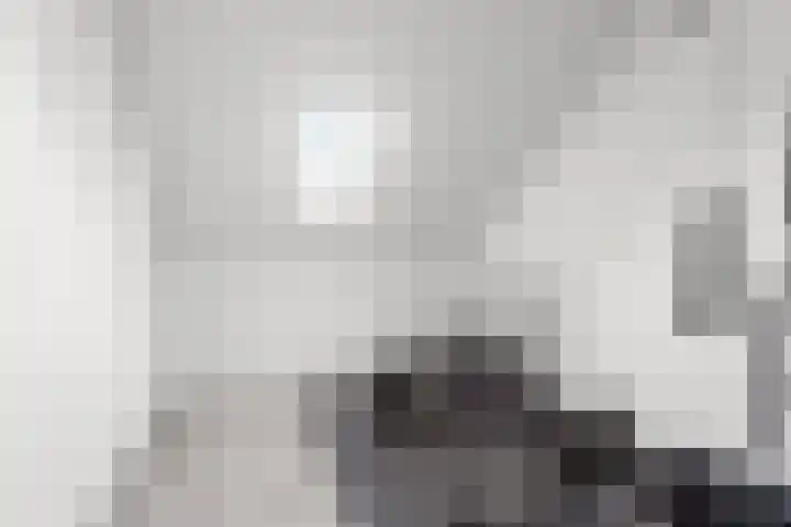 Black Alicante 29 Huissen thumbnail 33