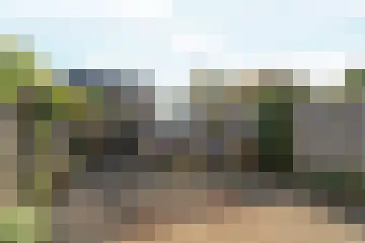 Black Alicante 29 Huissen thumbnail 39