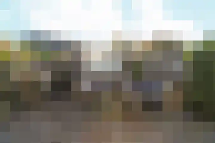 Black Alicante 29 Huissen thumbnail 40