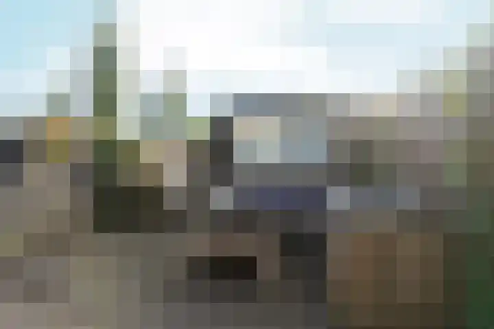 Black Alicante 29 Huissen thumbnail 41