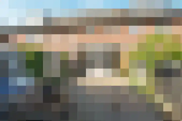 Black Alicante 29 Huissen thumbnail 42