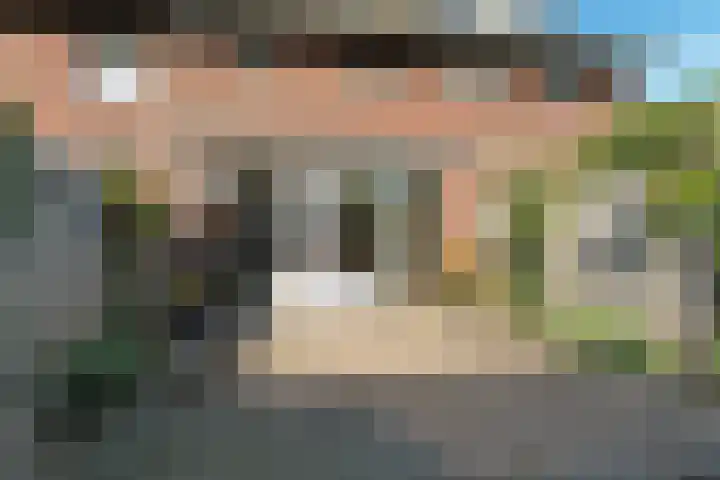 Black Alicante 29 Huissen thumbnail 43