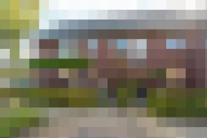 Black Alicante 29 Huissen thumbnail 46