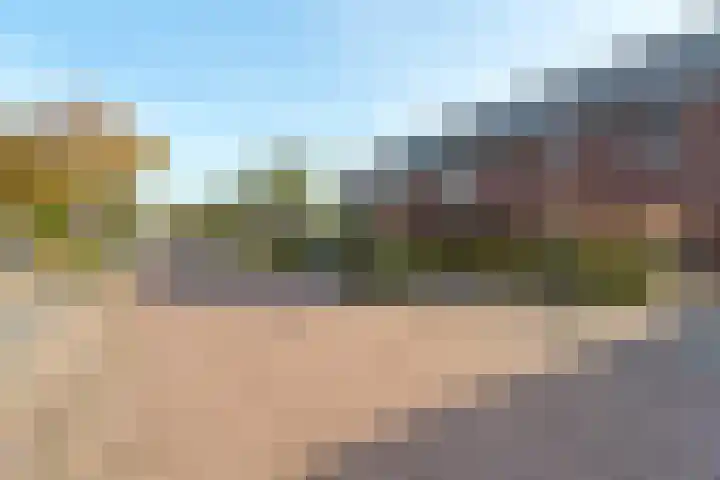 Black Alicante 29 Huissen thumbnail 47