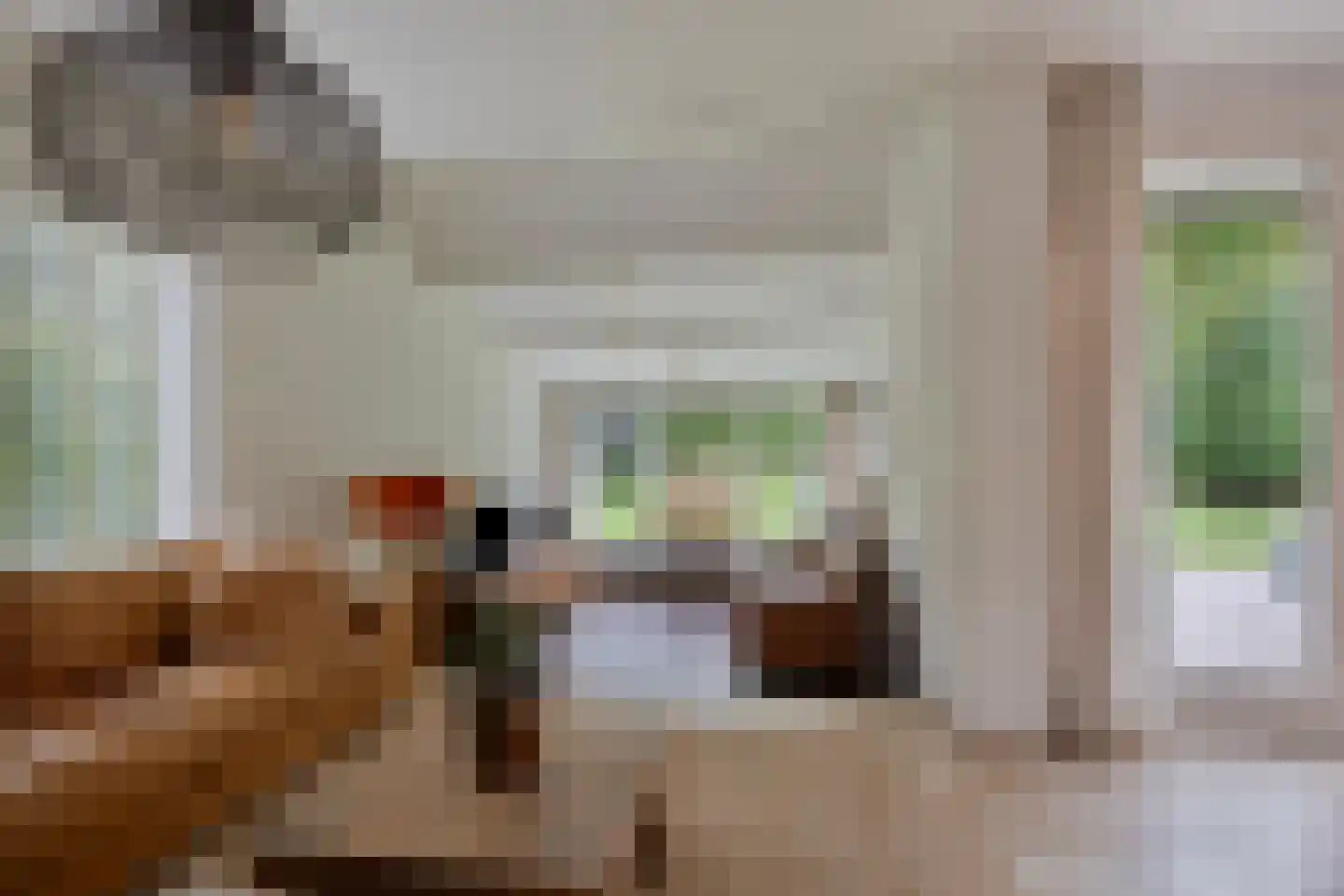 Black Alicante 29 Huissen thumbnail 8