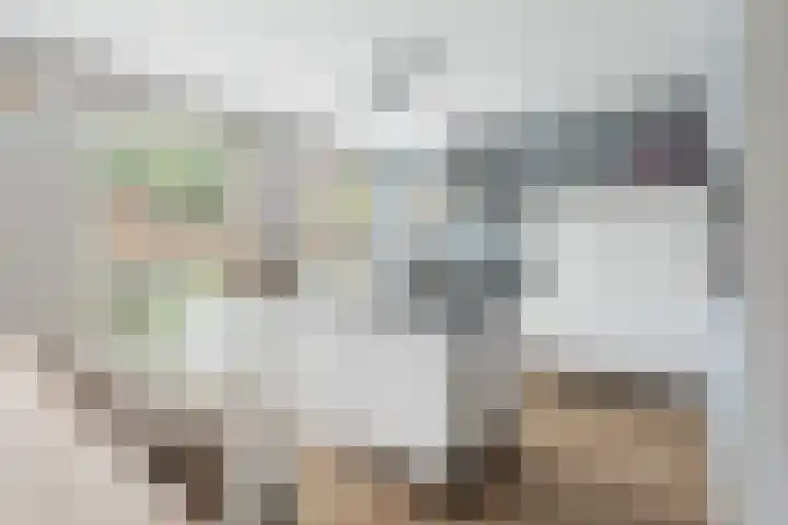 Black Alicante 45 Huissen thumbnail 10