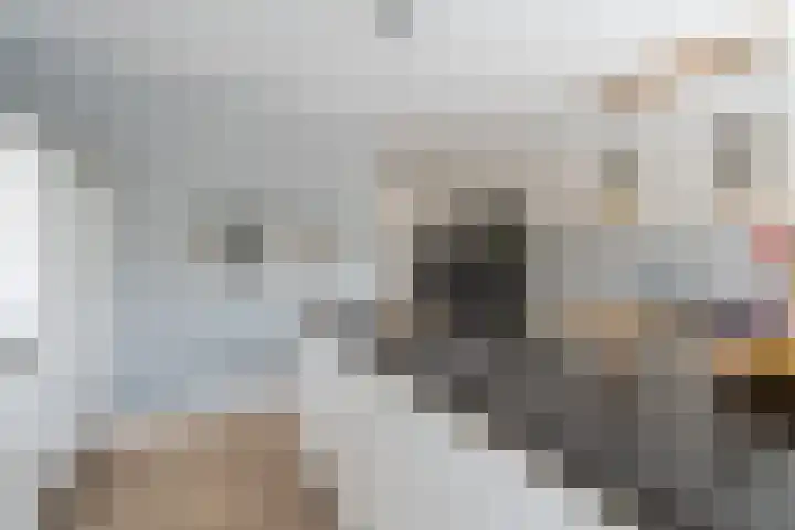 Black Alicante 45 Huissen thumbnail 13