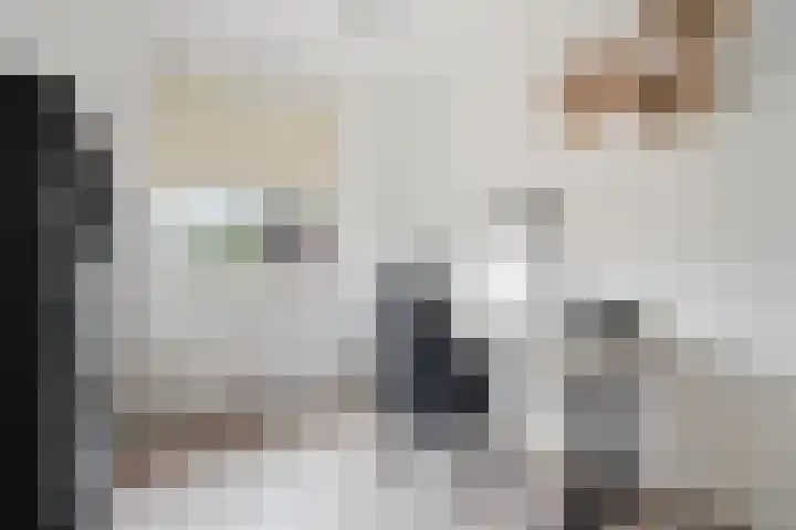 Black Alicante 45 Huissen thumbnail 23