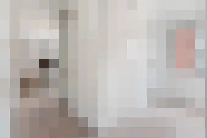 Black Alicante 45 Huissen thumbnail 27