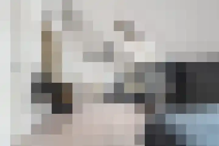 Black Alicante 45 Huissen thumbnail 31