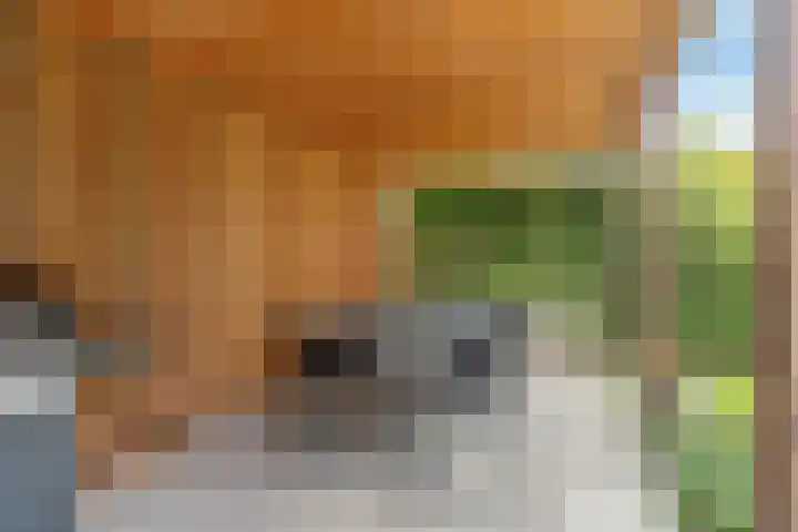 Black Alicante 45 Huissen thumbnail 38