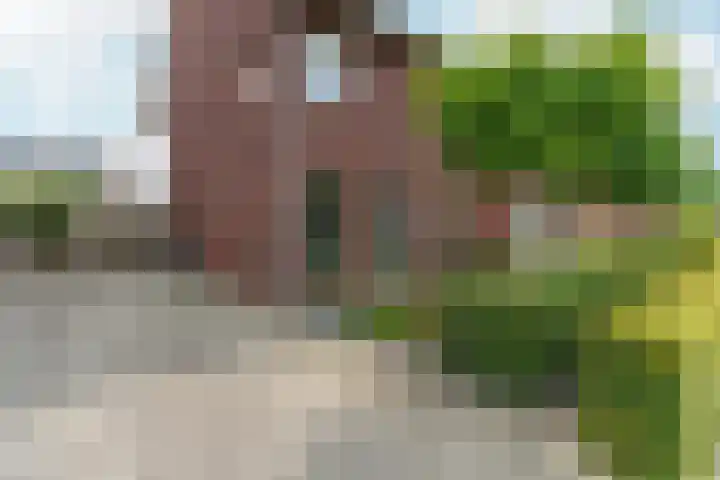 Black Alicante 45 Huissen thumbnail 45