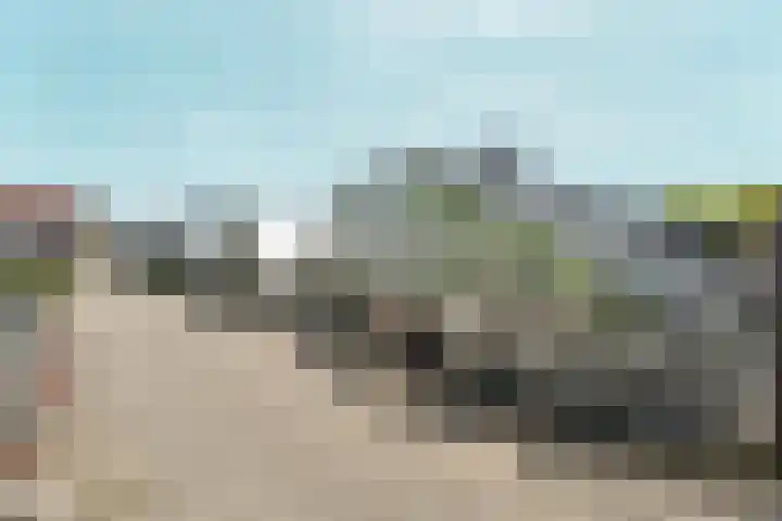 Black Alicante 45 Huissen thumbnail 49