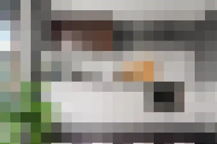 Black Alicante 60 Huissen thumbnail 10
