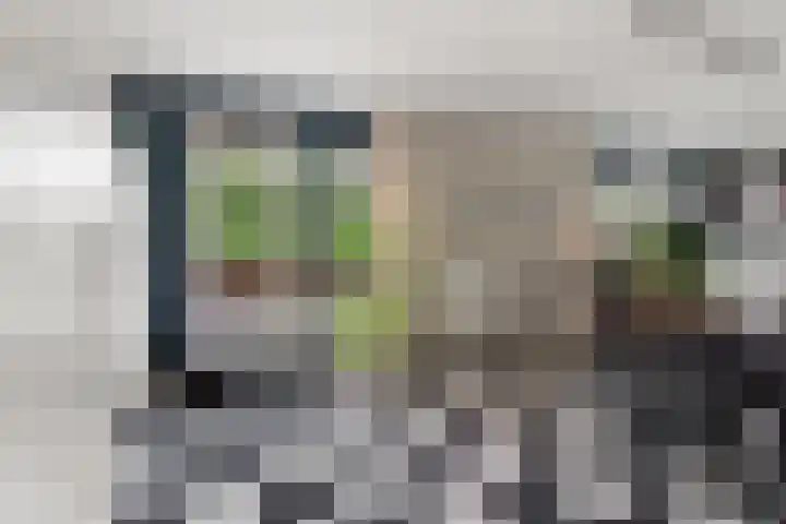 Black Alicante 60 Huissen thumbnail 11