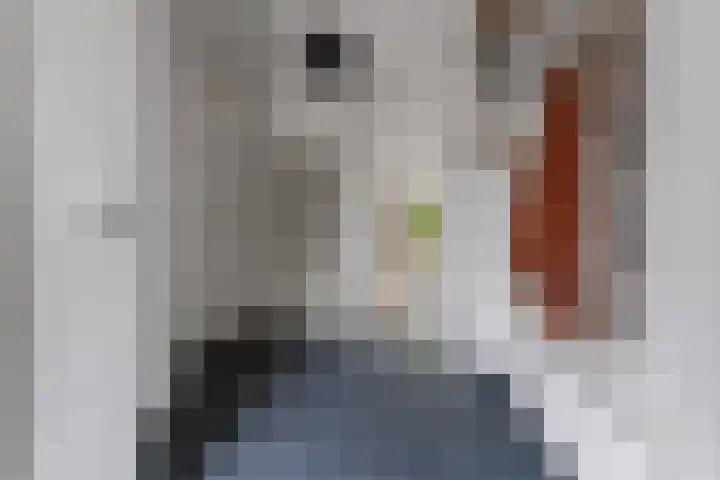 Black Alicante 88 Huissen thumbnail 20