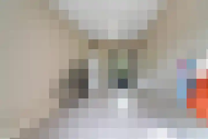 Black Alicante 88 Huissen thumbnail 22