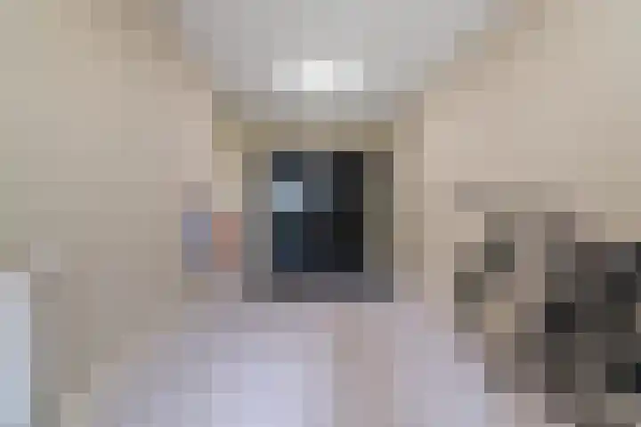 Black Alicante 88 Huissen thumbnail 23