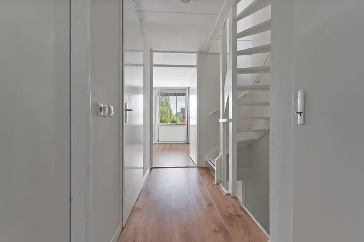Black Alicante 88 Huissen thumbnail 25
