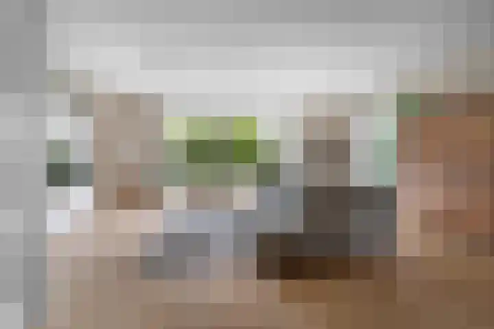 Black Alicante 88 Huissen thumbnail 4