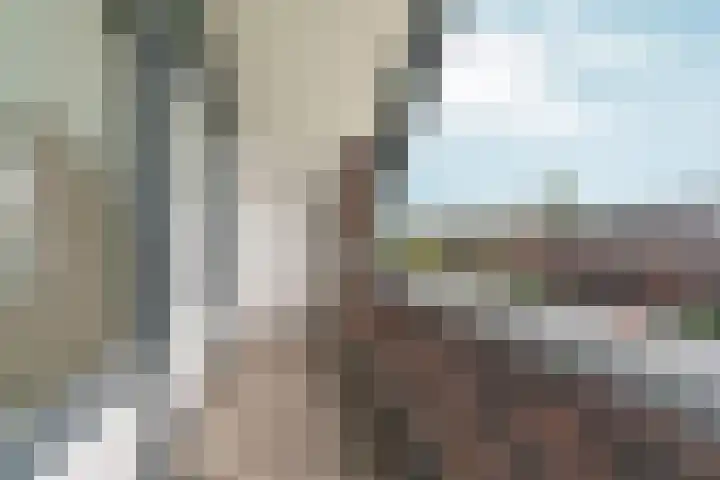 Black Alicante 88 Huissen thumbnail 43