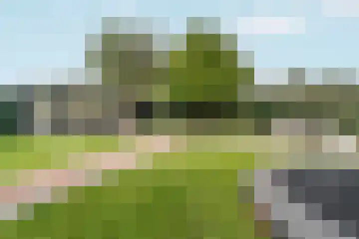 Black Alicante 88 Huissen thumbnail 45