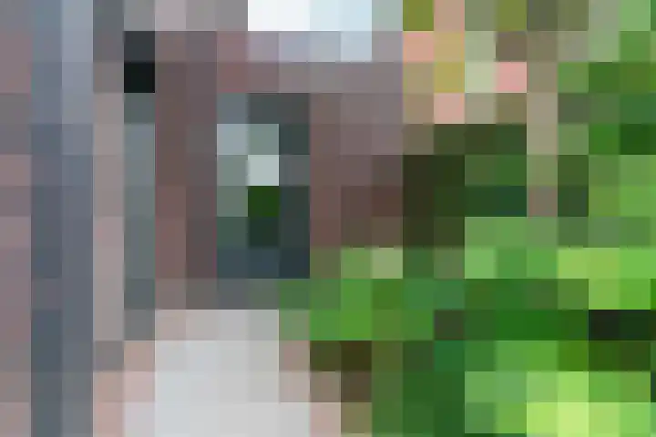 Black Alicante 88 Huissen thumbnail 48