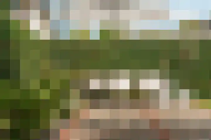 Black Alicante 88 Huissen thumbnail 49
