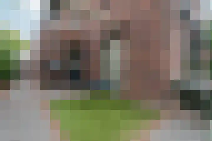 Black Alicante 88 Huissen thumbnail 53