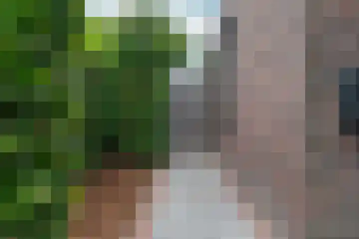 Black Alicante 88 Huissen thumbnail 54