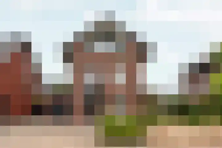 Black Alicante 88 Huissen thumbnail 57