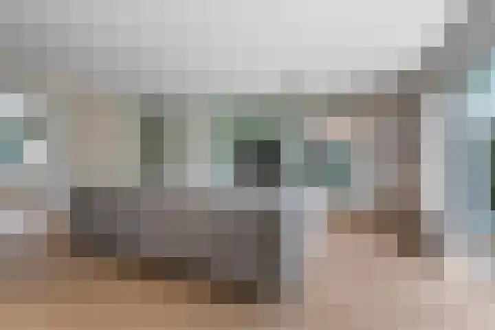 Black Alicante 88 Huissen thumbnail 6