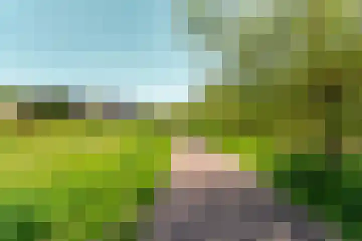 Black Alicante 88 Huissen thumbnail 64
