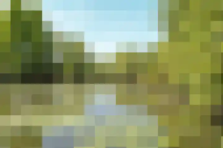 Black Alicante 88 Huissen thumbnail 67