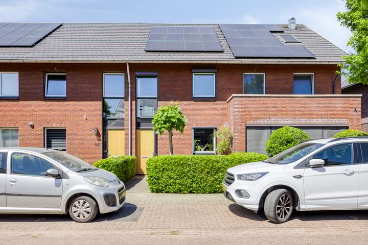 Black Alicante 92 in Huissen foto