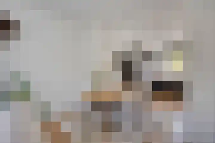 Black Alicante 92 Huissen thumbnail 13