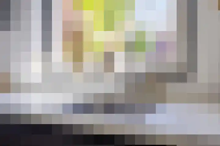 Black Alicante 92 Huissen thumbnail 16