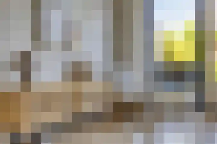 Black Alicante 92 Huissen thumbnail 18