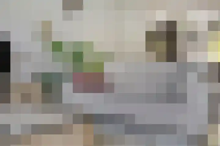 Black Alicante 92 Huissen thumbnail 19