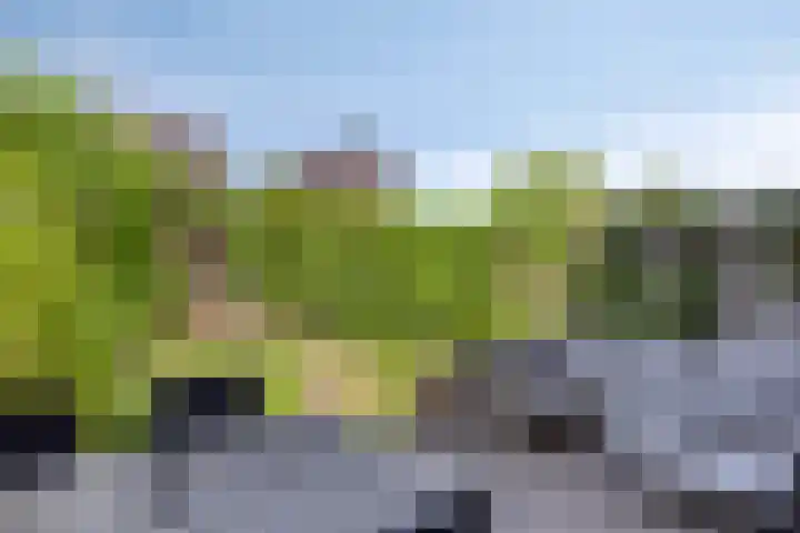 Black Alicante 92 Huissen thumbnail 32