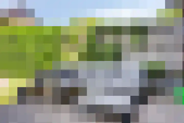 Black Alicante 92 Huissen thumbnail 33