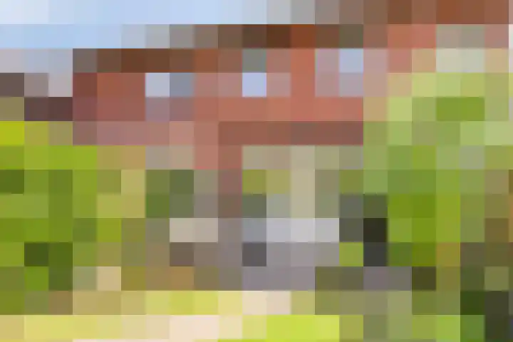 Black Alicante 92 Huissen thumbnail 36
