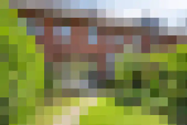 Black Alicante 92 Huissen thumbnail 37