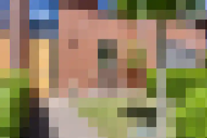 Black Alicante 92 Huissen thumbnail 4