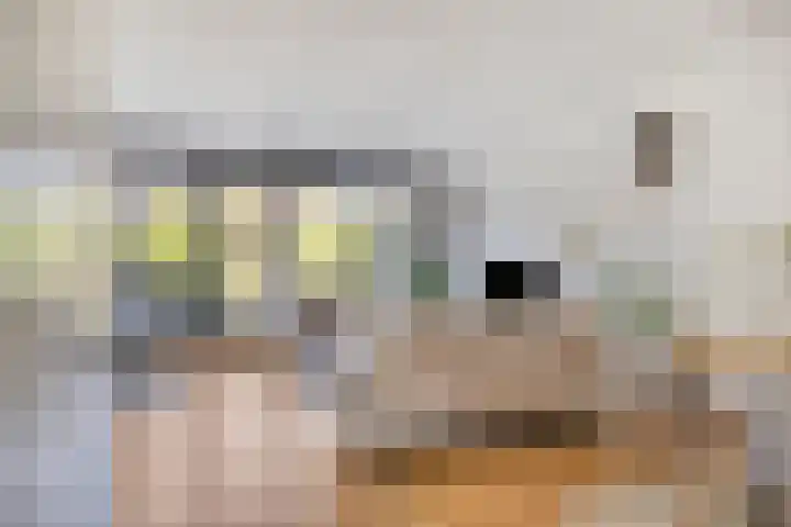 Black Alicante 92 Huissen thumbnail 7