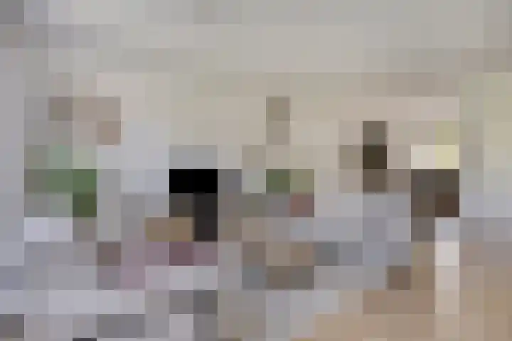 Black Alicante 92 Huissen thumbnail 9