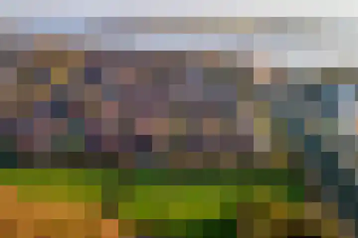 Blackwoodstraat 31 Opijnen thumbnail 47